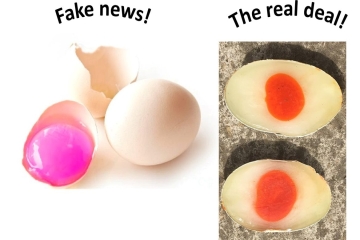 flamingo egg.jpg